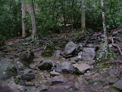 TN Vacation 189.jpg