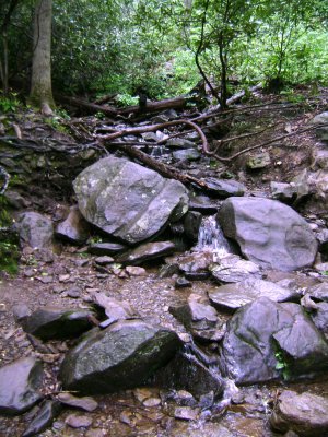 TN Vacation 191.jpg