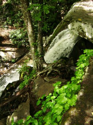 TN Vacation 196.jpg