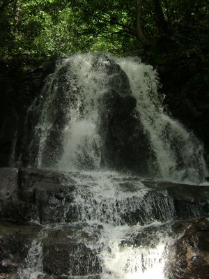 TN Vacation 201.jpg