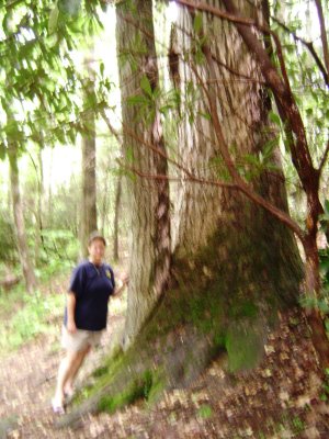 TN Vacation 206.jpg