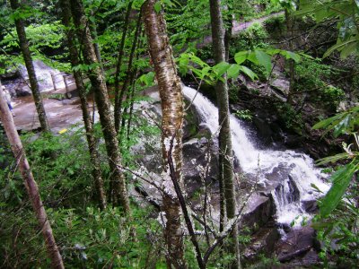 TN Vacation 222.jpg