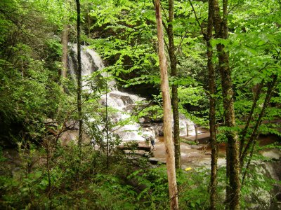 TN Vacation 223.jpg