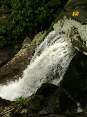 TN Vacation 225.jpg