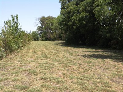 Standing at the back corner of our property, looking down the length of it towards the highway.  The greenery straight ahead is about equal with the front of the house; with the whole front yard still beyond but out of view in this photo.