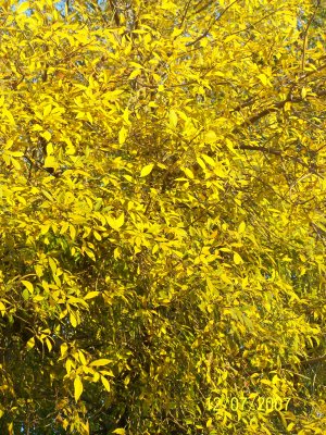 100_2752.jpg