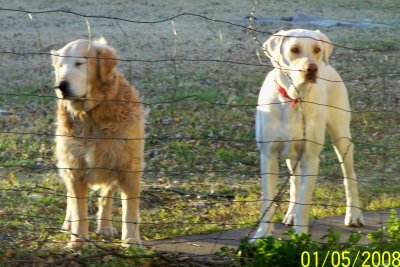 100_2836.jpg