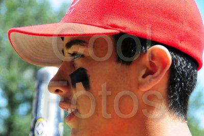 DSC_7977.JPG