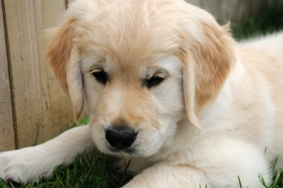 Our New Addition