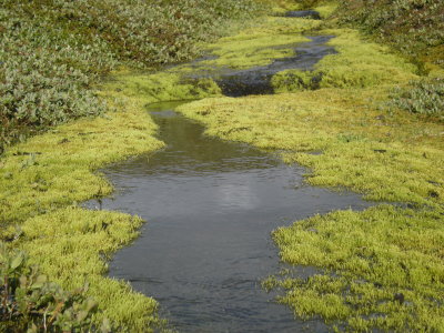 Slakki 8-10-7-11 049.jpg