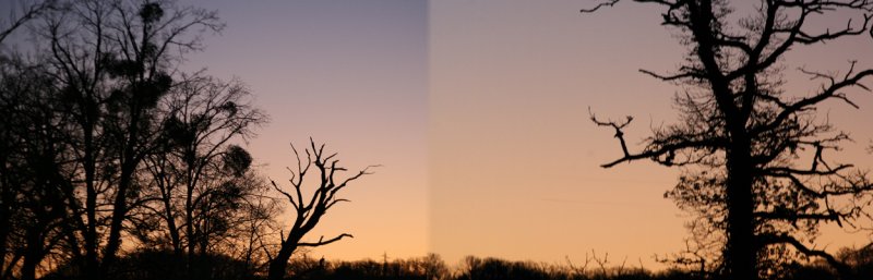 Dawn stitch up
