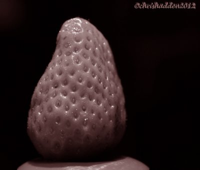 MM #7 - Edible