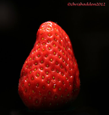 MM #8 - Edible #2