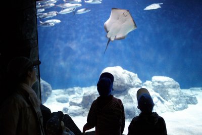 5D2_02740.jpg