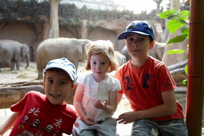 Les trois petits cochons au zoo...