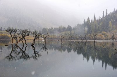 Snowy Reflections 飄雪