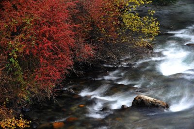 Colorful Stream 彩流