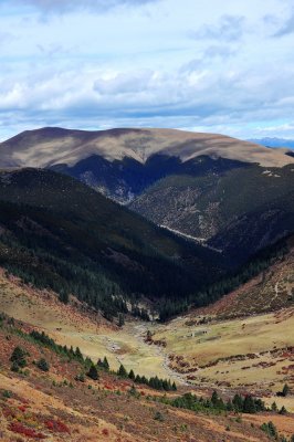 Lights on a Valley 山谷