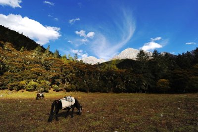 Jiulong Nature Reserve 九龍自然保護區