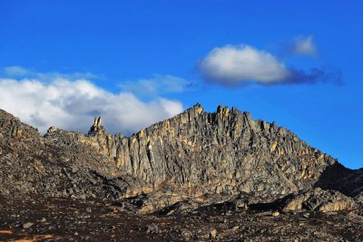 Lovely Mount Rabbit 兔兒山