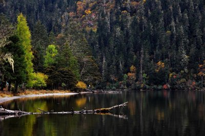 Reflections, Wuxuhai 水色