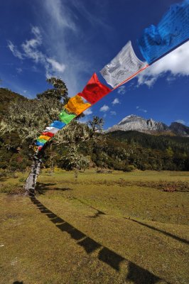 Prayer Flags, Wuxuhai 風馬飄飄