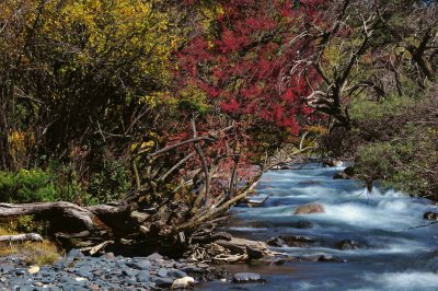 Colorful Stream en route 溪流