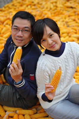 Maize Lovers 愛玉米