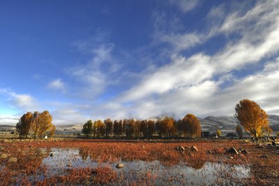 Red Grassland, Sangdui 桑堆紅草地