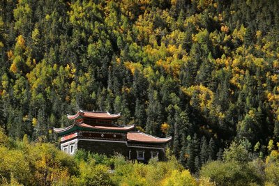 Tibetan House 藏居秋色