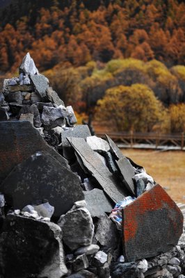 Scripted Stones 瑪尼石刻