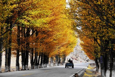 Autumnal Roads 秋之公路