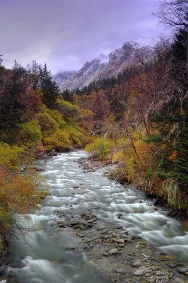 Stream, Changping Gully 長坪溝溪流