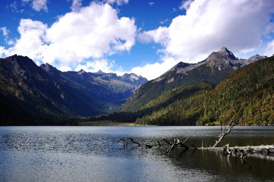 Logs and Lake, Wuxuhai 高原湖泊