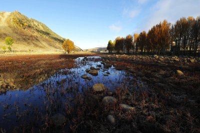 Reflections, Red Grassland 桑堆紅草地