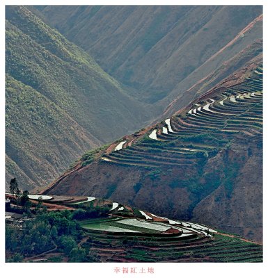 Ladder Fields