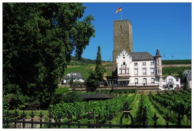 Wine Museum, Rudesheim