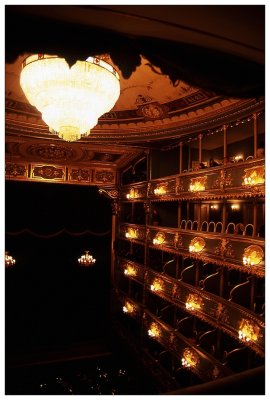 Auditorium, Estates Theatre