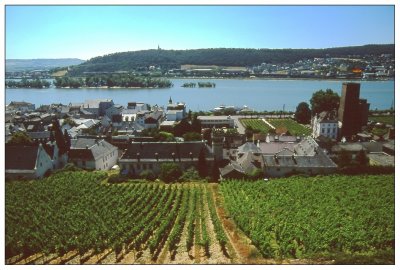 On Cable Car, Rudesheim