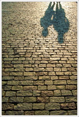 Light & Shadow