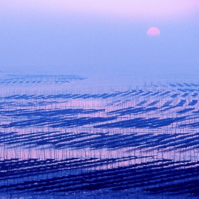 Sunrise over Laver-fields  