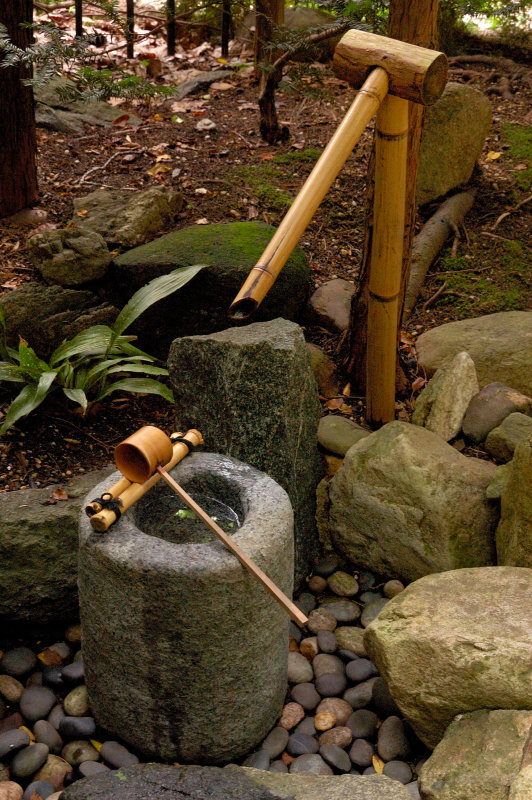 Japanese Stroll Garden