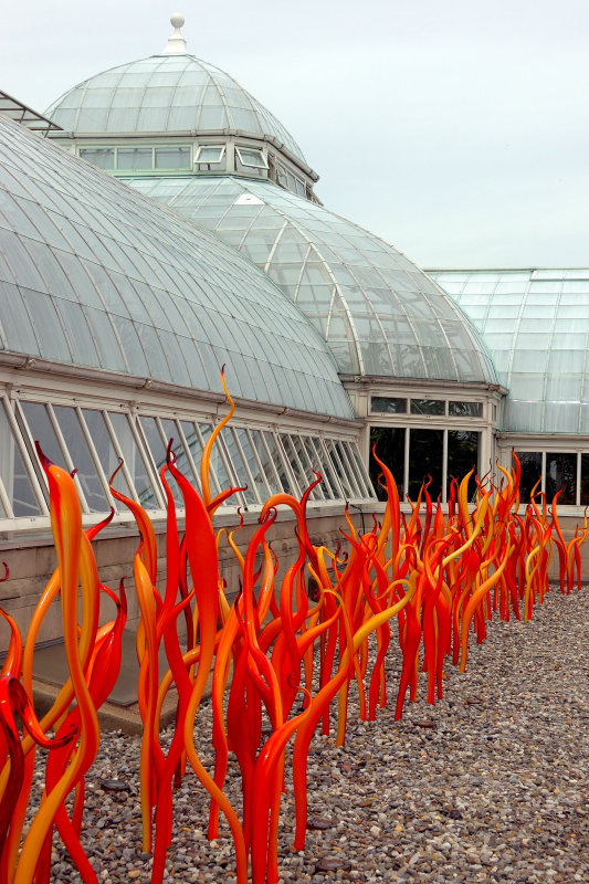 Chihuly at the NYBG