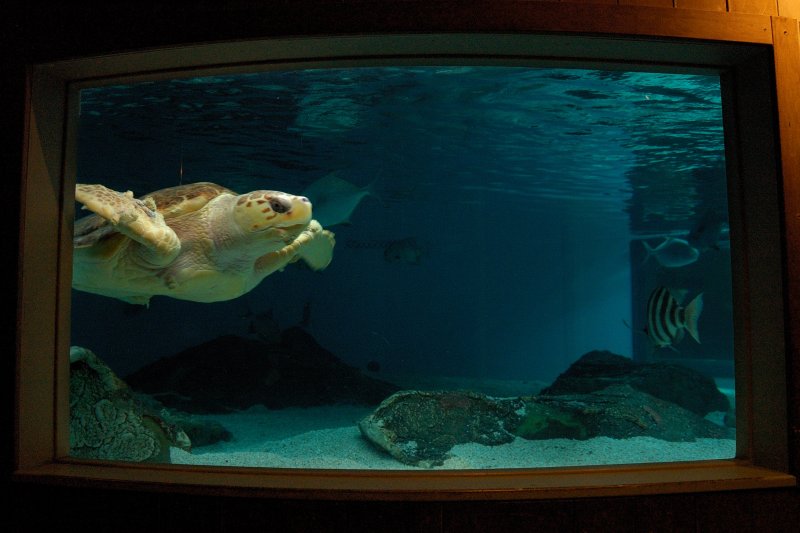 The Maritime Aquarium, South Norwalk