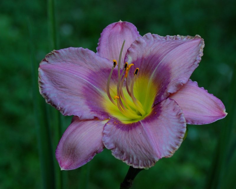 Clark Botanic Garden