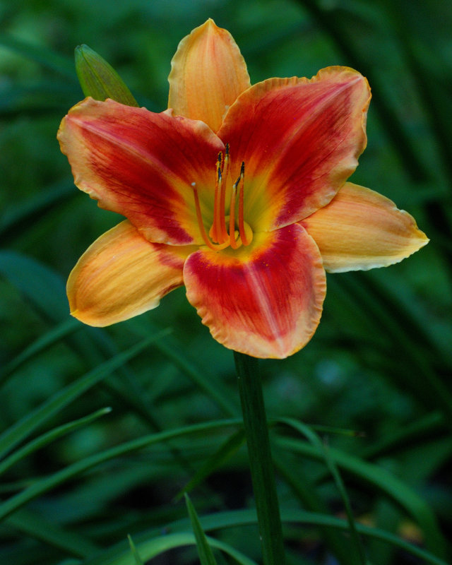 Clark Botanic Garden