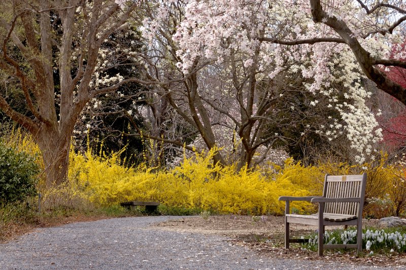 Planting Fields Arboretum