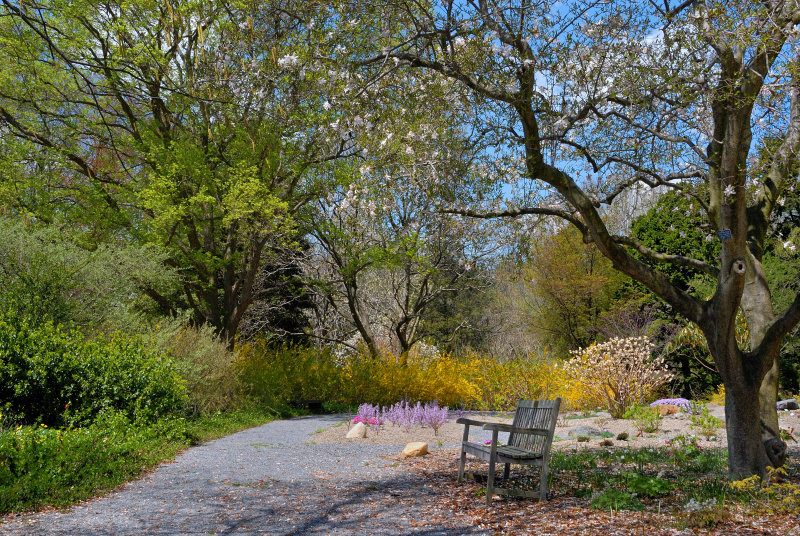 Planting Fields Arboretum
