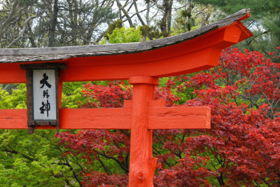 Brooklyn Botanic Garden