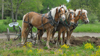 Near Troutville